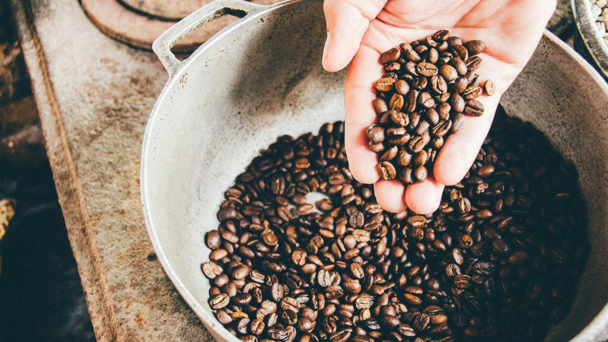 Grãos de café