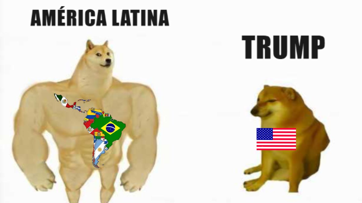 américa latina ok Imagem mostra meme com dois cachorros. Um deles, intitulado