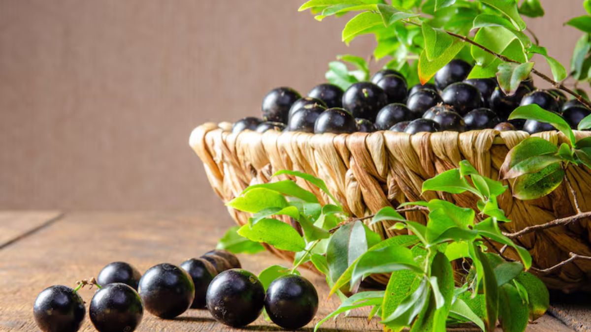 Cesta de jabuticaba