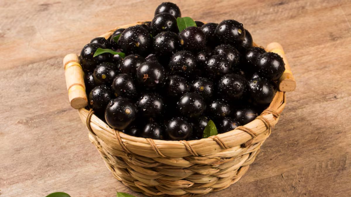 Cesta de jabuticaba